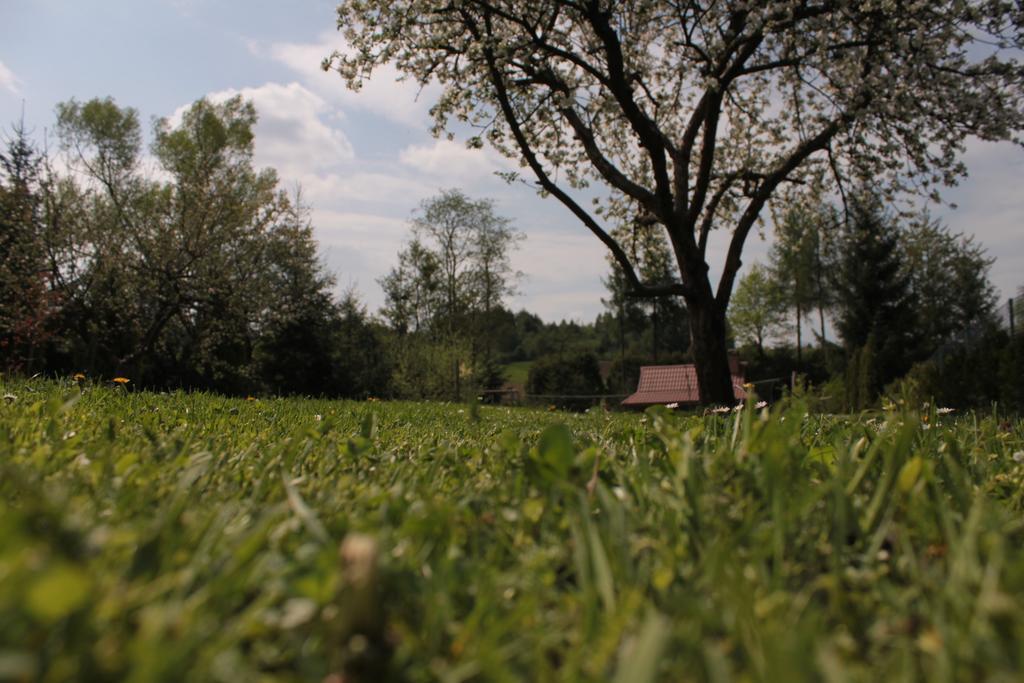 Uroczysko Holiday home *
